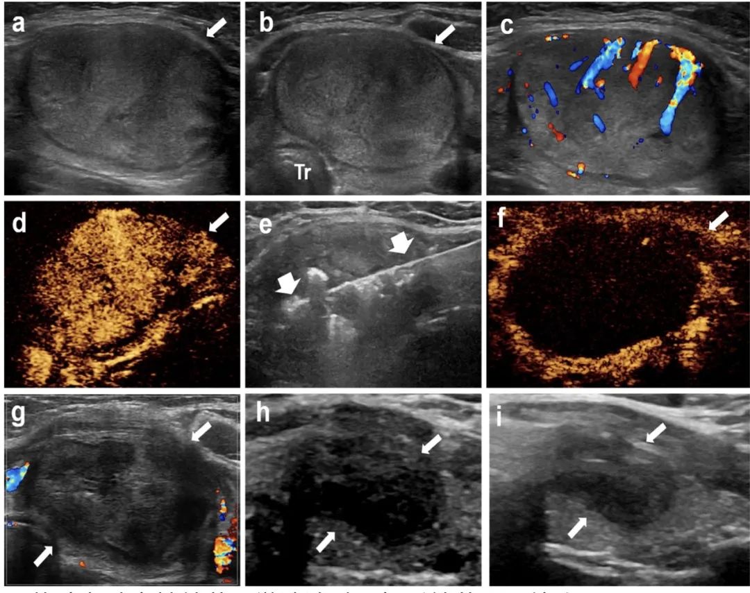 1702614115725 640 (1)